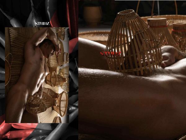 STUDZ-01--Zesty--Ebook--Video-